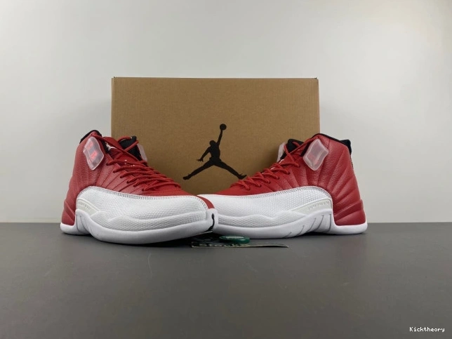 Kick Theory Alternate Air Jordan 130690-600 12 0807